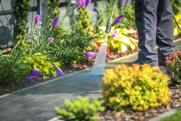Trusted Star City, AR Pressure Washing Experts